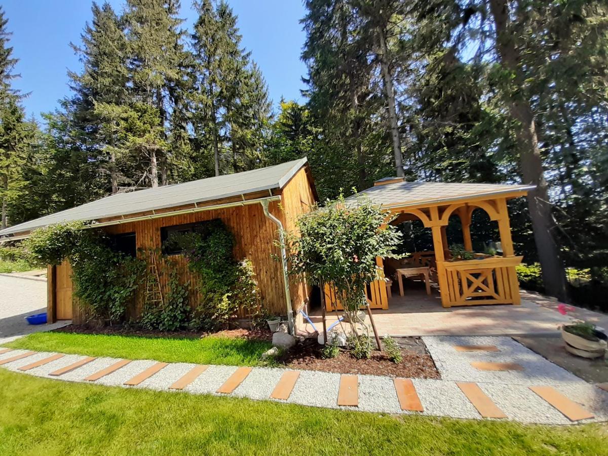 Apartamenty Przy Swierku Шклярська Поремба Екстер'єр фото