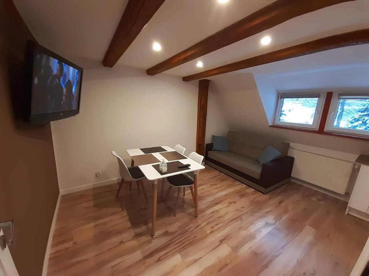 Apartamenty Przy Swierku Шклярська Поремба Екстер'єр фото