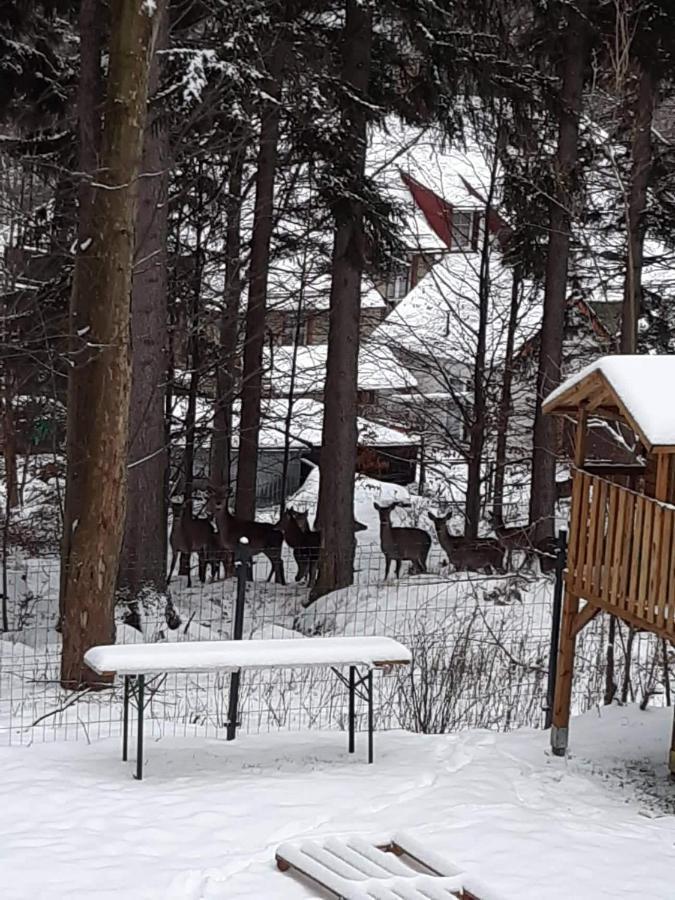 Apartamenty Przy Swierku Шклярська Поремба Екстер'єр фото