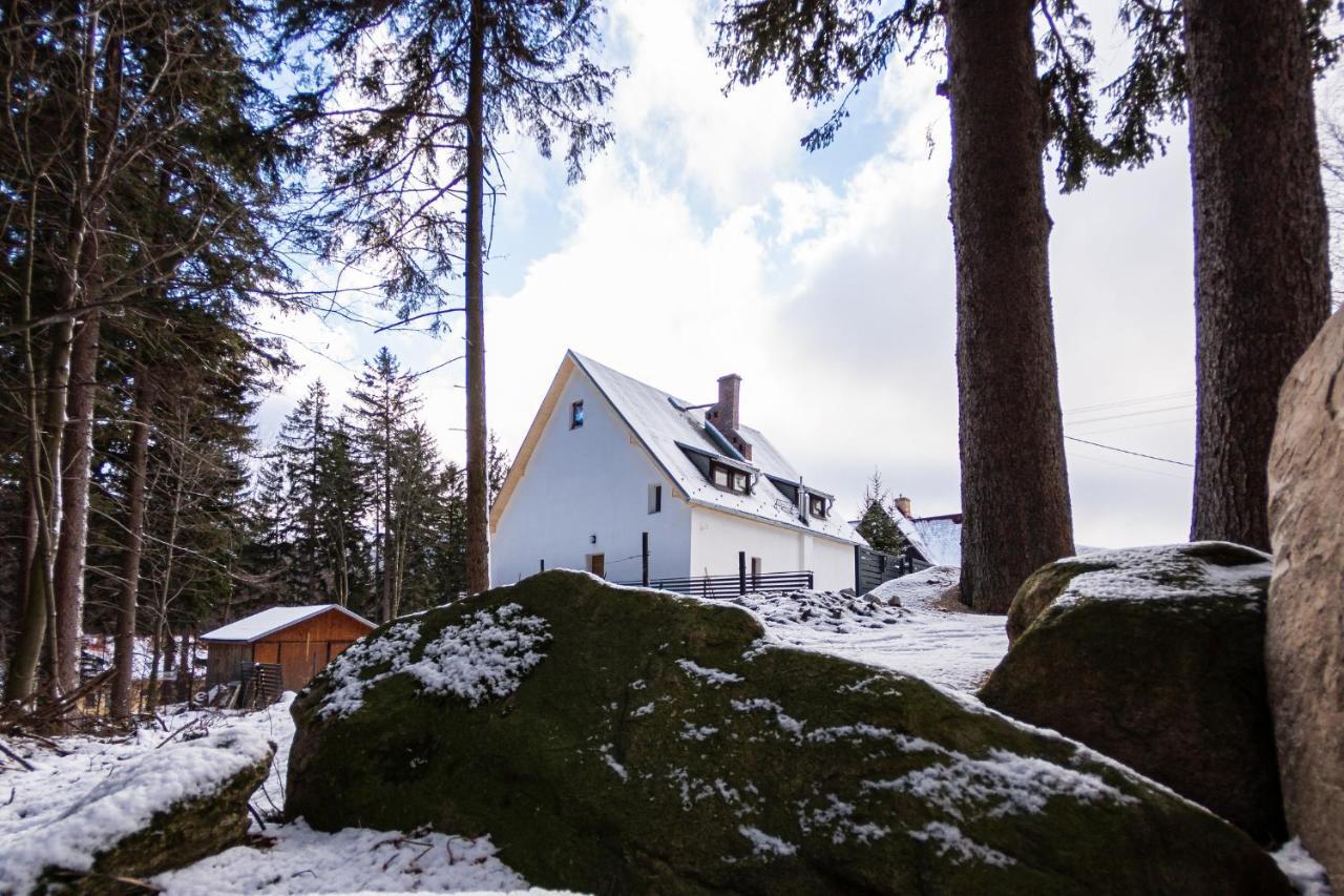Apartamenty Przy Swierku Шклярська Поремба Екстер'єр фото